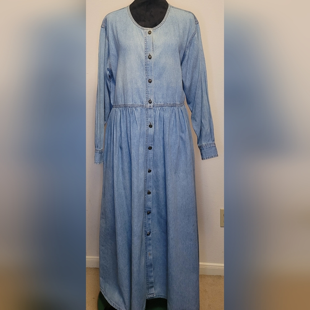 Express Denim Long Sleeve Dress